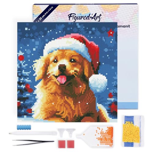 Figured'Art Mini Diamond Painting Erwachsene 25x25cm Mit Rahmen Ganze Leinwand gespannt Hund im Schnee zu Weihnachten 5D Bilder Runde Steine - DIY Set Basteln von Figured'Art