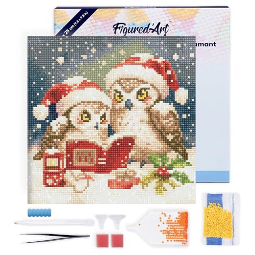 Figured'Art Mini Diamond Painting Erwachsene 25x25cm Mit Rahmen Ganze Leinwand gespannt Lesende Weihnachts-Eulen 5D Bilder Runde Steine - DIY Set Basteln von Figured'Art