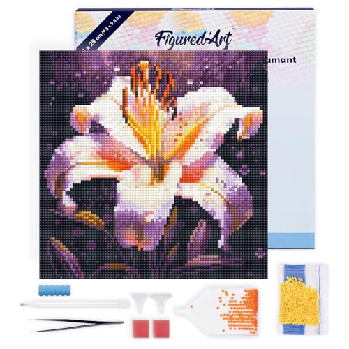 Figured'Art Mini Diamond Painting Erwachsene 25x25cm Mit Rahmen Ganze Leinwand gespannt Lilienblüte 5D Bilder Runde Steine - DIY Set Basteln von Figured'Art