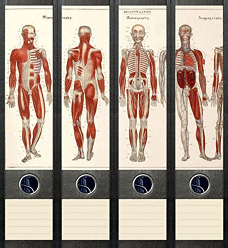 File Art AJ034 Design Etiketten Ordnerrückenschilder von File Art