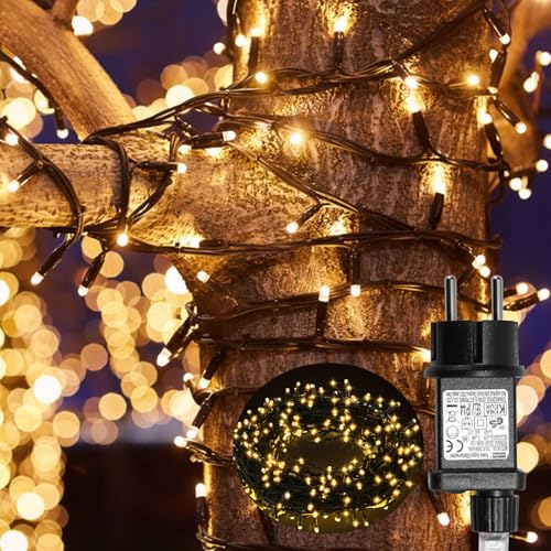 Fiqops LED Lichterkette Außen 10M 100LEDs 8 Modi, IP44 wasserdicht Lichterketten mit Memory Funktion für Party Hochzeit Garten Balkon Weihnachten, Warmweiß, Dunkelgrüner Draht von Fiqops