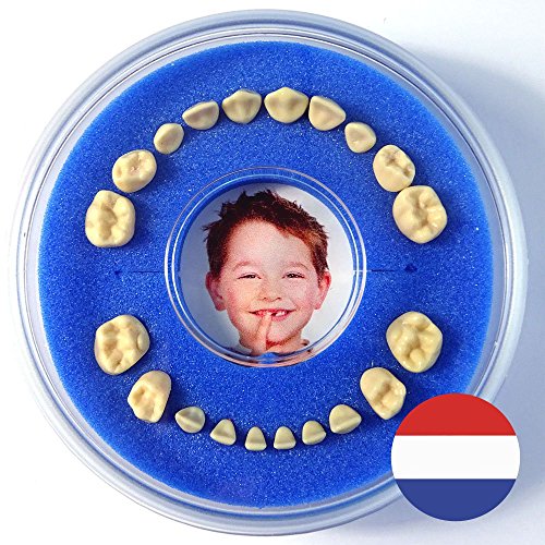 Firsty Tandendoosje blauw, jongen Round - Inclusief Logboekje Nederlands von Firsty