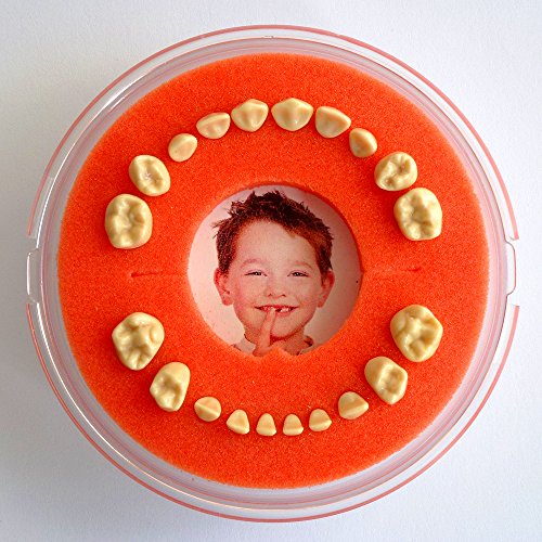 Zahndose || Firsty Round || (orange) Kleinkind, Deutsch. Inklusive Kühlschrankmagnet und Aufkleber. Wird jeden Freitag abgeschickt (bestellt vor 13.30 Uhr)… von Firsty