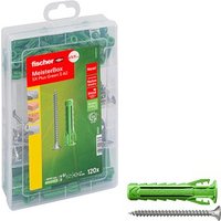 fischer Meister-Box - SX Plus Green S A2 531227 Dübel- und Schrauben-Sortiment Ø 4,5/5/6/8 mm 30/40/55 mm, 120 Stück von Fischer