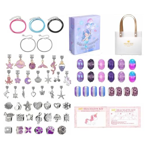 Fisssure Charm Armband Herstellungs Kit, Charm Armband Herstellung Kit, Tragbare Armband Herstellung Kit für Schmuck, Puzzle Armband Set, Set von Fisssure