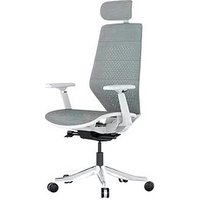 FlexiSpot Bürostuhl BS11 Pro Stoff grau, Gestell grau von FlexiSpot