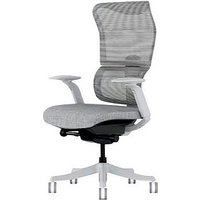 FlexiSpot Bürostuhl BS8 Pro Stoff grau, Gestell grau von FlexiSpot