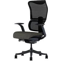 FlexiSpot Bürostuhl BS8 Pro Stoff schwarz, Gestell schwarz FlexiSpot Bürostuhl BS8 Pro Stoff schwarz, Gestell schwarz von FlexiSpot