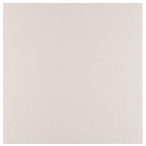 Florence Leinenkarton Grau 250 g – Kartengestaltung - 30,5 x 30,5 cm - Cool Grey - Scrapbooking Bedarf - Schwergewichtig, Reißfest - Erstellen Sie Elegante Einladungen, Geschenkboxen und Kunstprojekte von Florence