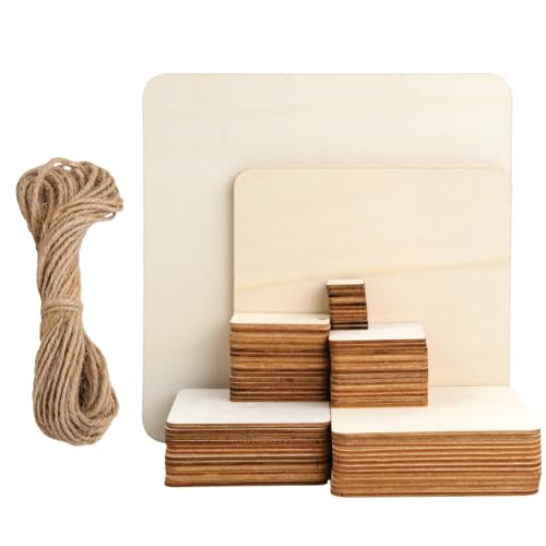 Focenat 100 Stück Quadrat Holzscheiben Set, Holzplättchen Eckig mit Loch und Seil, Holzschild Blanko, Natürliche Holzstücke, Holzplatten zum Basteln für Malen, Handwerk, Untersetzer, Dekoration von Focenat