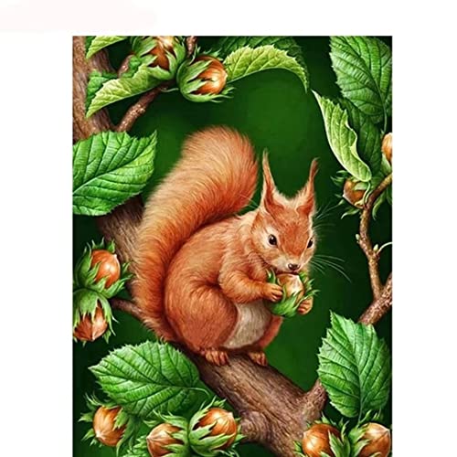 5D Diamond Painting Eichhörnchen-Tier Diamant Painting Set, DIY Daiments Painting Vollbohrer Kit, Malen Nach Zahlen Erwachsene Kinder, Büro Eingang Wand Wohnzimmer Schlafzimmer Dekoration,50x70cm von Foyaya