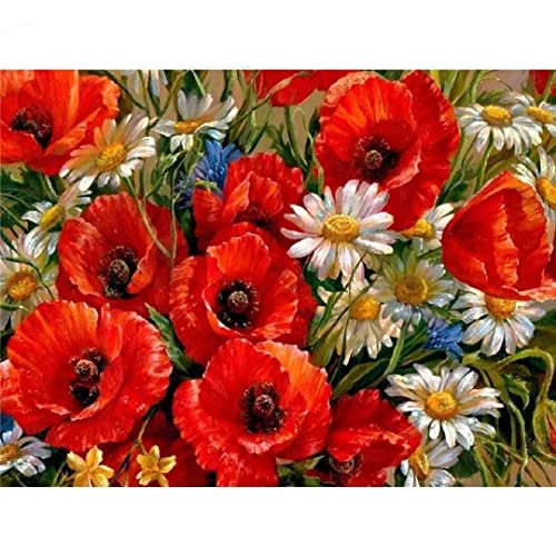 Foyaya 5D Diamond Painting Mohn Diamant Painting Set, DIY Daiments Painting Vollbohrer Kit, Malen Nach Zahlen Erwachsene Kinder, Büro Eingang Wand Wohnzimmer Schlafzimmer Dekoration,60x80cm von Foyaya