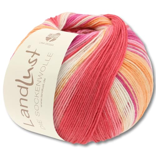 Frida's Wollhaus Lana Grossa 100 g Landlust die Sockenwolle 4-fädig Stricken Wolle Garn 33 Farben (111) von Frida's Wollhaus