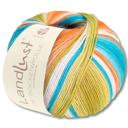 Frida's Wollhaus Lana Grossa 100 g Landlust die Sockenwolle 4-fädig Stricken Wolle Garn 33 Farben (117) von Frida's Wollhaus