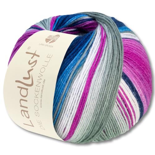 Frida's Wollhaus Lana Grossa 100 g Landlust die Sockenwolle 4-fädig Stricken Wolle Garn 33 Farben (118) von Frida's Wollhaus