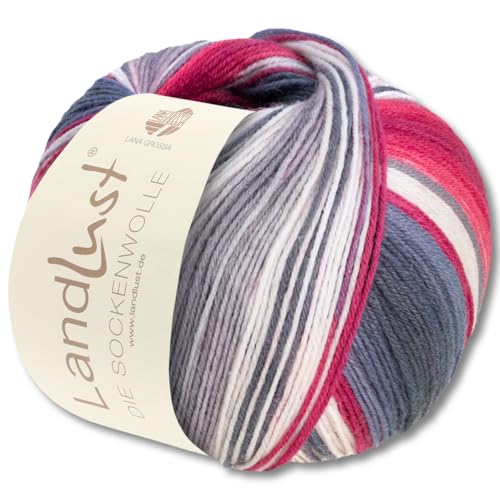 Frida's Wollhaus Lana Grossa 100 g Landlust die Sockenwolle 4-fädig Stricken Wolle Garn 33 Farben (119) von Frida's Wollhaus