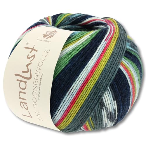 Frida's Wollhaus Lana Grossa 100 g Landlust die Sockenwolle 4-fädig Stricken Wolle Garn 33 Farben (703) von Frida's Wollhaus