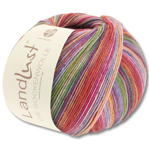 Frida's Wollhaus Lana Grossa 100 g Landlust die Sockenwolle 4-fädig Stricken Wolle Garn 33 Farben (803) von Frida's Wollhaus