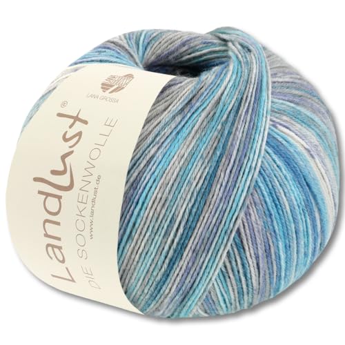 Frida's Wollhaus Lana Grossa 100 g Landlust die Sockenwolle 4-fädig Stricken Wolle Garn 33 Farben (808) von Frida's Wollhaus