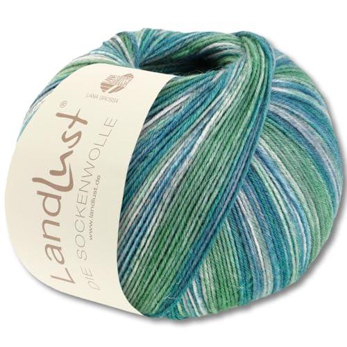 Frida's Wollhaus Lana Grossa 100 g Landlust die Sockenwolle 4-fädig Stricken Wolle Garn 33 Farben (810) von Frida's Wollhaus