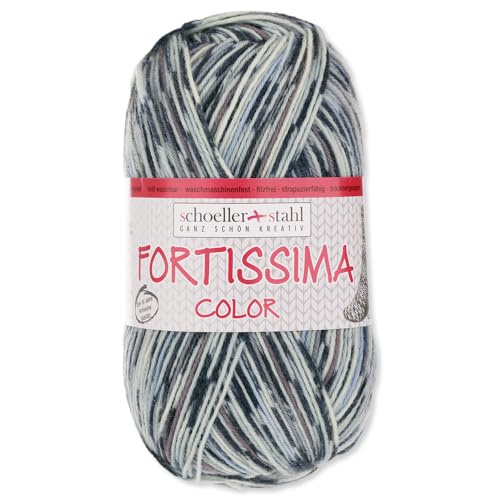 Frida's Wollhaus Schöller und Stahl 100g Fortissima Color 4-fach Wolle Stricken Häkeln 40 Farben (2501 | Terrazzo) von Frida's Wollhaus