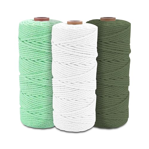 Premium Makramee Garn Set (3er), 100% Natürliche Baumwollkordel 3mm x 100m, Makramee Kordel für Stricken, Häkeln & DIY Handwerk - Ideal für Weben, Wanddekoration - 3 Farben Auswahl von Friedwohl