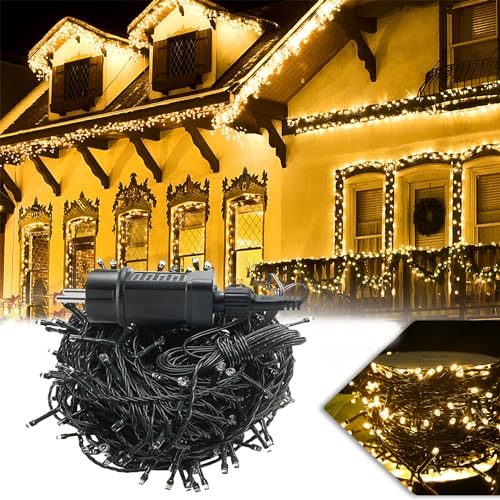 Froadp LED Lichterkette 1000 LEDs Lichterketten Außen mit Stecker IP44 Wasserdicht Weihnachtsbeleuchtung mit 8 Leuchtmodi Lampenkette für Innen Garten Hochzeit Weihnachten Party (100m, WarmWeiß) von Froadp