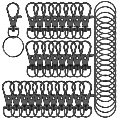 Frsoinor Karabinerhaken mit Drehgelenk und Schlüsselringen, Metall-Karabinerverschluss, Schlüsselanhängerringe zum Basteln, 100 Stück von Frsoinor