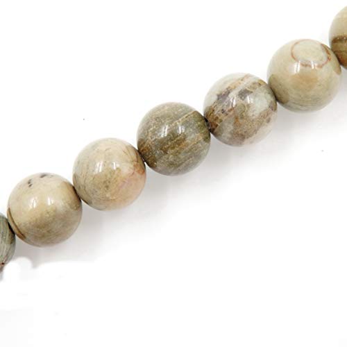 Fukugems Naturstein perlen für schmuckherstellung, verkauft pro Bag 5 Stränge Innen, Grey Stripe Jasper 8mm von Fukugems