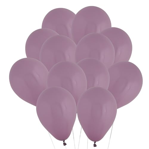 Fun Express Dusk Lavendel-Pastell-Latex-Luftballons, natürliche Farben, 12,7 cm, 12 Stück von Fun Express