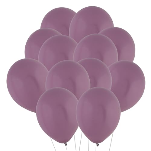 Fun Express Dusk Lavendel-Pastell-Latex-Luftballons, natürliche Farben, 30,5 cm, 12 Stück von Fun Express