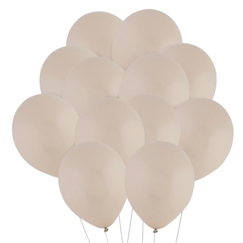 Fun Express Latex-Luftballons, Naturfarben, 30,5 cm, Weiß von Fun Express