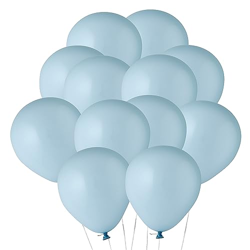 Fun Express Latex-Luftballons, Pastellblau, 12,7 cm, 24 Stück von Fun Express