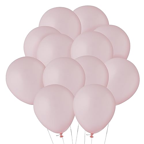 Fun Express Latex-Luftballons, Pastellrosa, 12,7 cm, 24 Stück von Fun Express