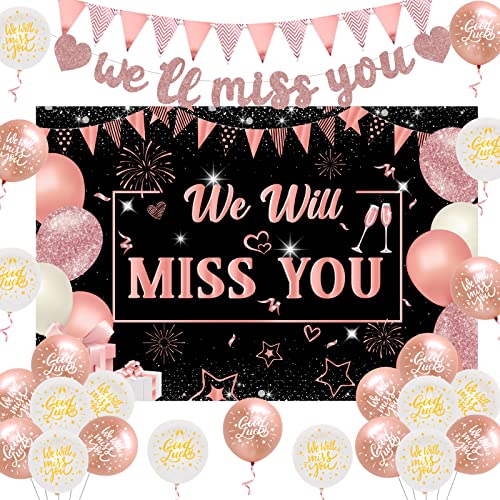 We Will Miss You Dekorationen Rose Gold We Will Miss You Hintergrund Banner Viel Glück Luftballons Dreieck Flagge Banner für Mädchen Frauen Abschied Ruhestand Abschluss Party Dekorationen von Funmemoir