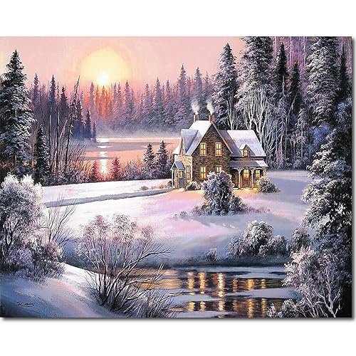 Fuumuui Malen Nach Zahlen Erwachsene und Kinder Anfänger Gemälde inklusive Pinsel und Acrylfarben 40 x 50 cm - Landschaft, Winter Sonnenaufgang von Fuumuui