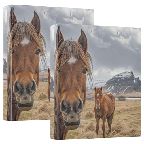 Funny Brown Horses Klemmbrett mit 3 Ringen, 3,8 cm, Lehrerbuch, 2 Stück von GAIREG