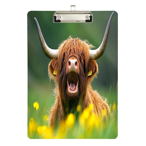 Highland Cow Foto-Acryl-Klemmbrett, Acryl-Klemmbretter für Klassenzimmer, A4, Briefgröße 31,8 x 22,9 cm, Silberclip von GAIREG