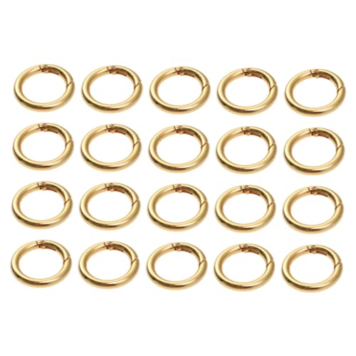 GALPADA 20Stücke Zinklegierung Schlüsselring Federöffnung Karabiner Ringe für Schmuckherstellung und Korrosionsbeständig Hypoallergen und GALPADA 20Stücke Zinklegierung Schlüsselring Federöffnung Karabiner Ringe für Schmuckherstellung und Korrosionsbeständig Hypoallergen und von GALPADA