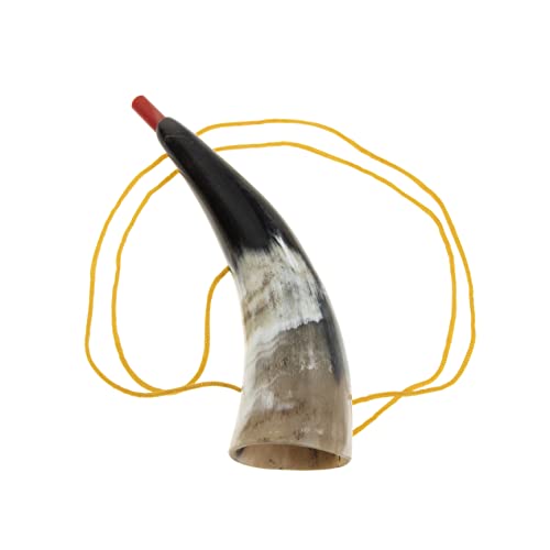 GARVALON 2St Stierhorn der Wikinger Kinderhorn Blowouts Krachmacher Wikingerkrieg bläst Horn kindertrompete Kinder trompete Spielzeug Sportspiel Jubelhorn Wikinger-Horninstrument Hörner von GARVALON