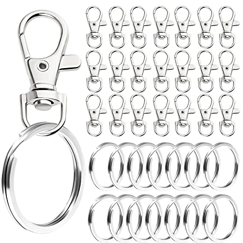 80 Stück Schlüsselring Edelstahl Klein(40 Schlüsselringe + 40 Karabinerhaken Clips), Schlüsselanhänger und Spaltringe, Karabiner Schlüsselanhänger für Handwerk und Lanyards von GEERDAN