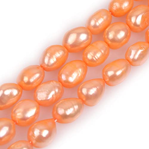 Gem-Inside 8–9 mm orangefarbene Perlen, echte Fischwasser-Zuchtperlen, Edelsteinperlen für Schmuckherstellung, Großpackung, 38,1 cm Gem-Inside 8–9 mm orangefarbene Perlen, echte Fischwasser-Zuchtperlen, Edelsteinperlen für Schmuckherstellung, Großpackung, 38,1 cm von GEM-INSIDE CREATE YOUR OWN FASHION