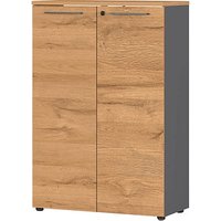 GERMANIA Aktenschrank Agenda Home, 4232-564 grafit, grandson-eiche 2 Fachböden 80,0 x 40,0 x 120,0 cm von Germania