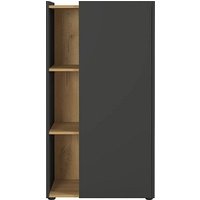 GERMANIA Aktenschrank Austin, 2976-549 grafit, eiche 2 Fachböden 62,0 x 42,0 x 115,0 cm von Germania