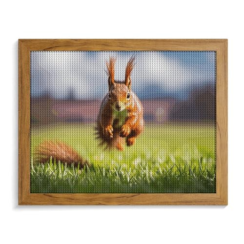 Country Brown Squirrel Diamond Painting Kits for Adults Full Drill Diamond Dots Paintings with Frame Round 5D Paint with Diamonds Pictures Art Painting Kits DIY Crafts for Home Decor 50.0 cm X 40.9 cm von GFLFMXZW