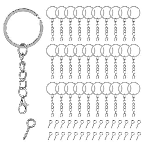 GGXZHT 30 Stück Schlüsselanhänger Ring Set, Schrauböse Pins und Schlüsselringe mit Karabinerverschluss Schlüsselanhänger Ring Set, Schlüsselringe 25mm für Schlüssel DIY Basteln Schlüssel Taschen von GGXZHT