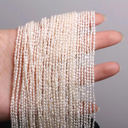 1,8–2 mm Zuchtperle, natürliche Süßwasserperle, Reisperlen, lose Perlen, Charms für DIY-Halsketten für Frauen und Männer, Schmuckherstellungszubehör-Weiß-1,8–2 mm von GGYBJ