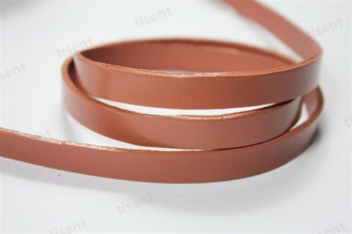 GIJMZY Flache Lederschnur Braunes Lederband, Lederstreifen, 10 mm breit, 10 x 2 mm flach.(Sienna,5 Yards) von GIJMZY