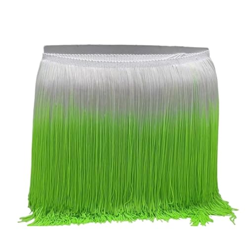 GIJMZY Fransenbesatz Spitze 20 cm 10 Meter Bunte Quaste Fransenbesatz for Kleidung Nähen Latein Kleid Bühne Home Dekoration Spitzenbesatz DIY Zubehör(Color28,10 Meters) von GIJMZY