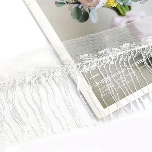 GIJMZY Pailletten Fransen Besatz 1/2 Yards 10 cm Quaste Spitze Borte Band Pailletten Fransen Bänder Dance Performance Trimmen Fransen DIY Kleidung Nähen zubehör(18Transparent,10cm-1Yard) von GIJMZY